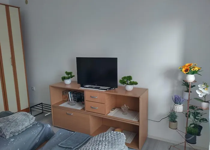 Aleksej アパート *